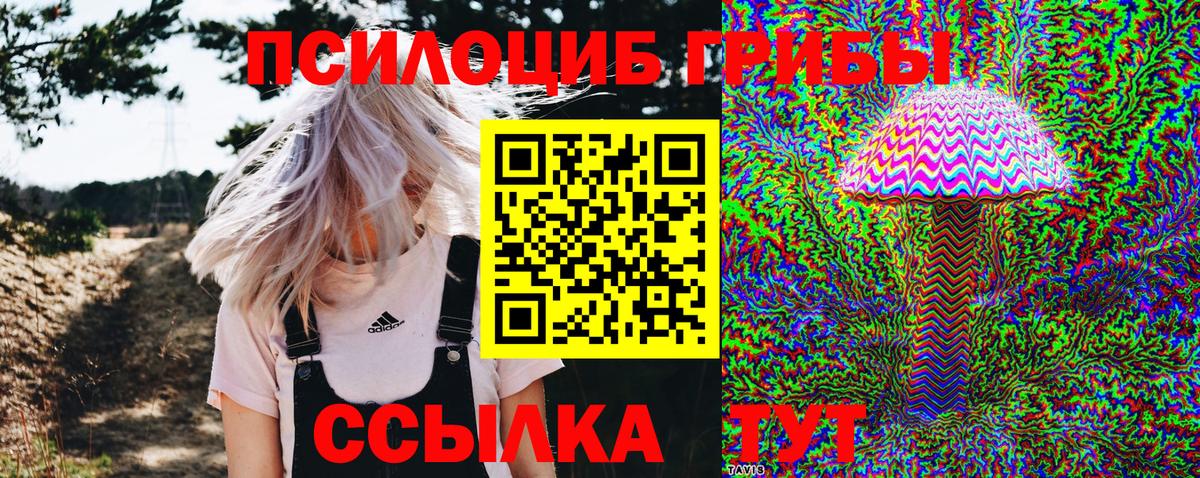 Псилоцибиновые грибы Psilocybe Чехов