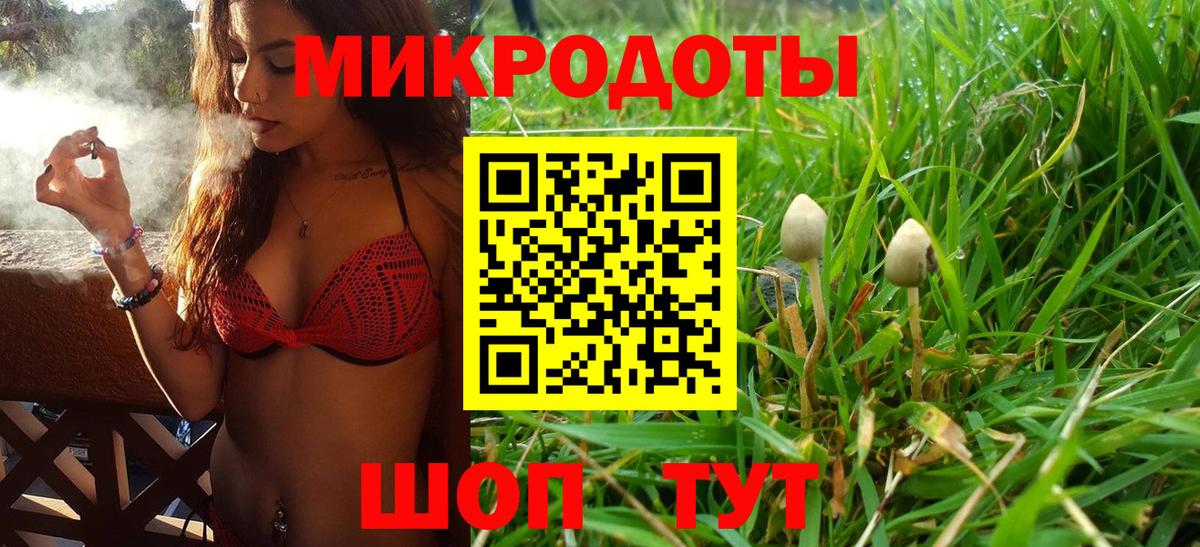 Псилоцибиновые грибы мухоморы  Вход с VPN  Чехов 